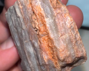 Arizona Agatized Petrified Wood with Botryoidal Chalcedony Pockets - Free Shipping!