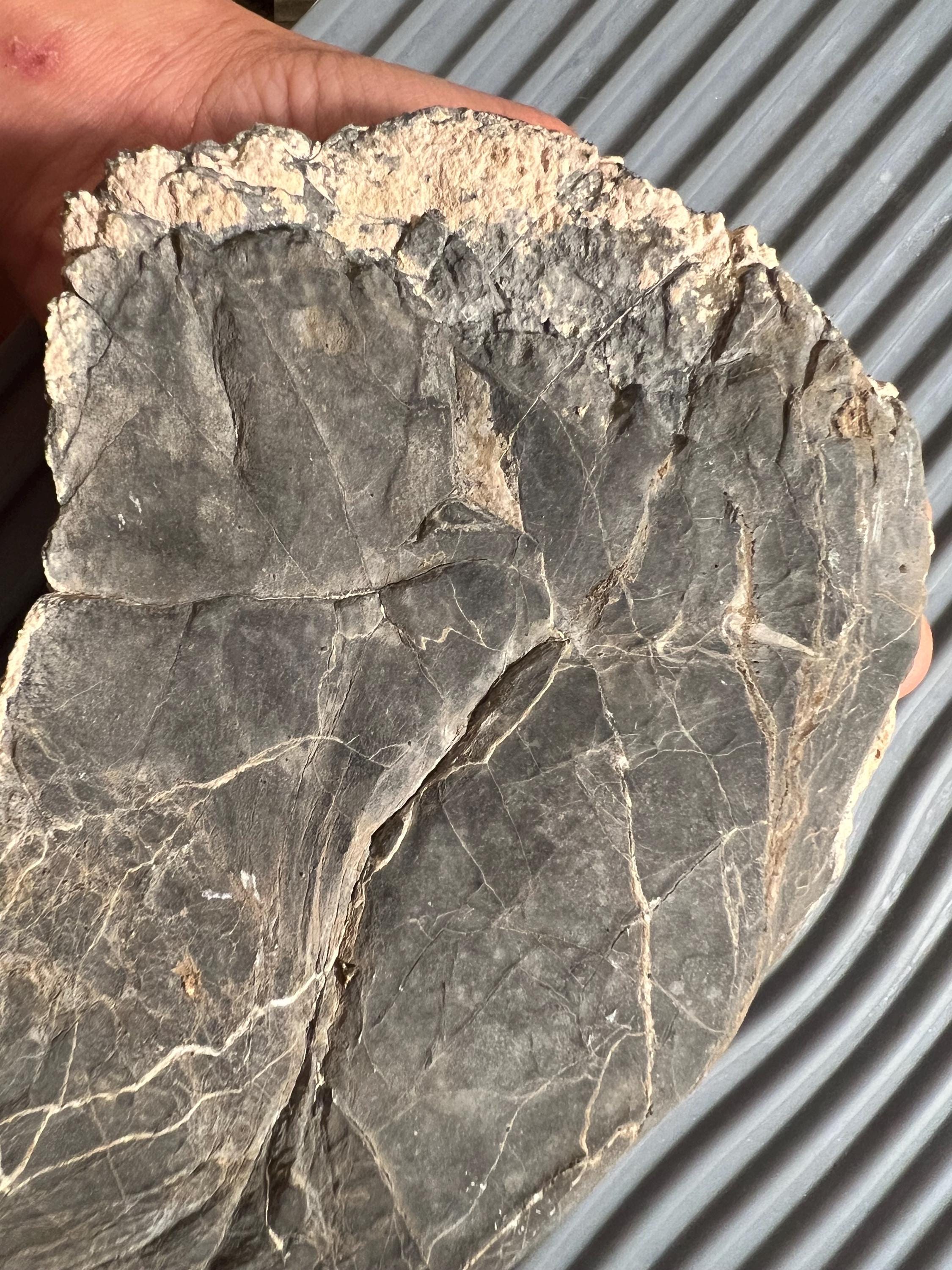 Large Basaltic Rock - Pima County, AZ Collector's Specimen - Etsy