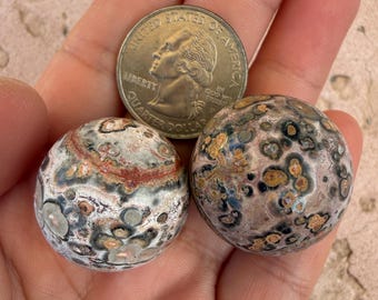 Premium Orbicular Leopard skin Jasper 1 inch Spheres - 2 pcs | Polished Fish Eye Jasper | Leopardite | silicified rhyolite | Jaguar Stone