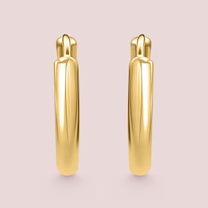 May include: Two gold-colored hoop earrings. Each earring has a rounded rectangular shape with a smooth, polished surface. The earrings are displayed against a soft pink background, highlighting their metallic sheen.