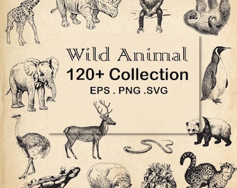 Wild Animal Engraving Collection, Wild animal PNG, Wild Animal SVG, Jungle Animal, Engraving, Animal scrapbook, wild Life, Reptile PNG, Eps