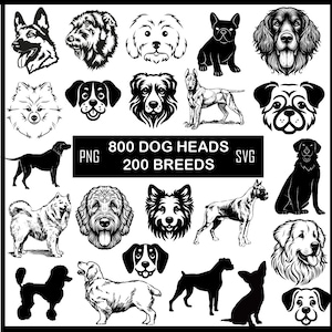Hunderassen SVG Bundle: 800 Hundeköpfe Clipart (Instant Download)