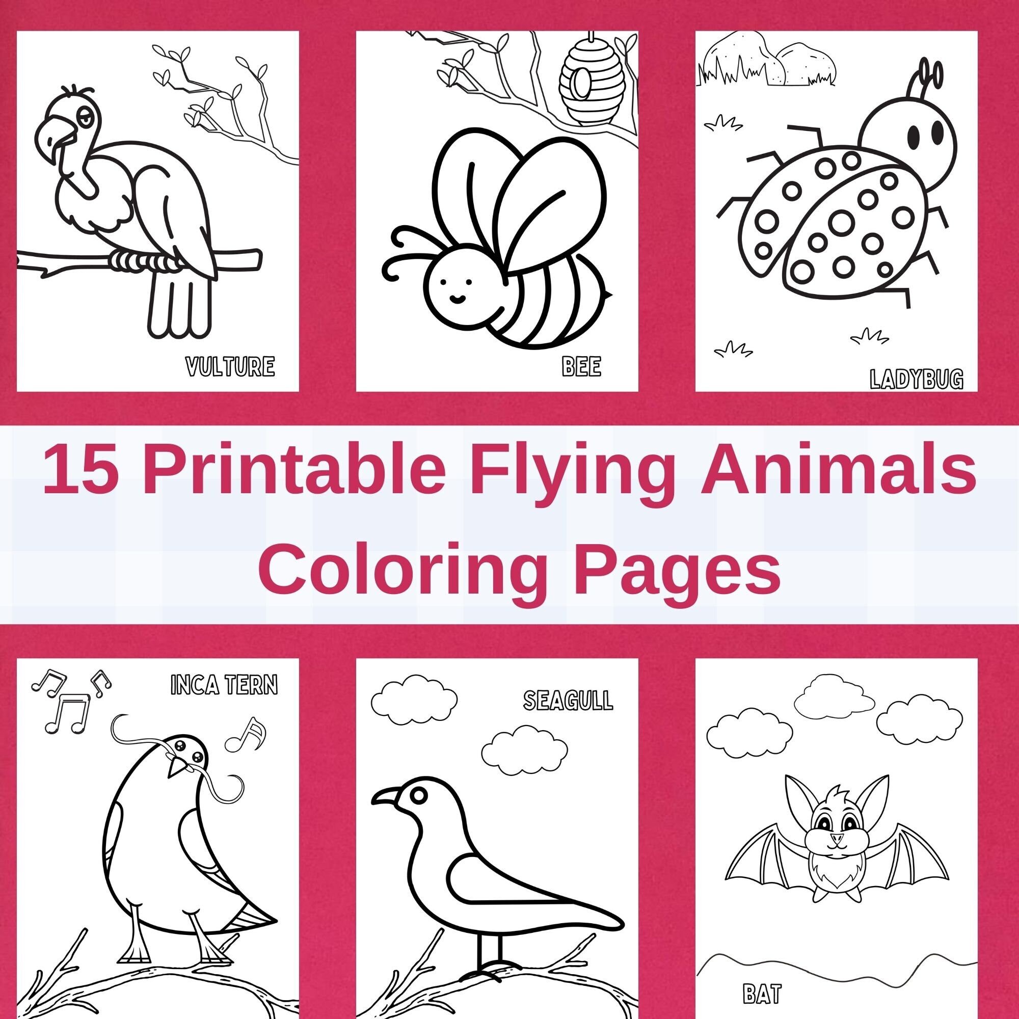 Flying Animals Coloring Pages