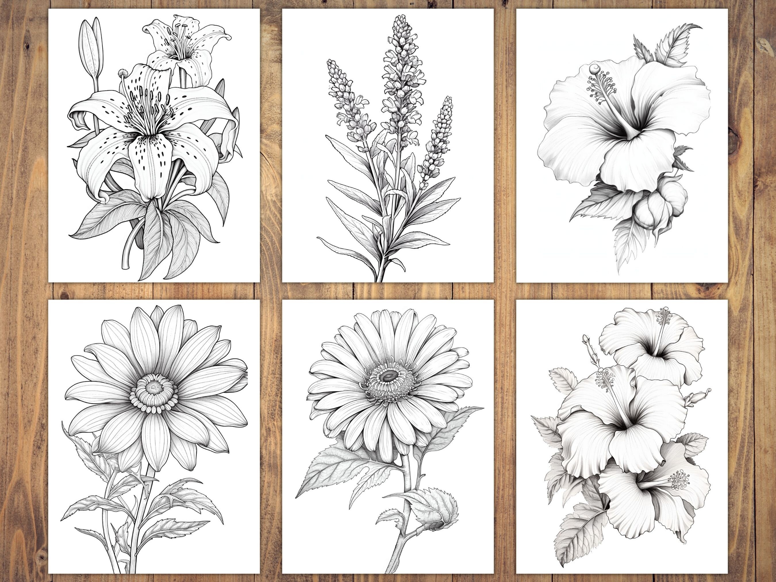 Ink Tracing Botanical Pocket Edition: Flower Coloring Book: Follow The White Lines to Reveal Nature's Beauty. A Fresh Approach to Reverse Coloring