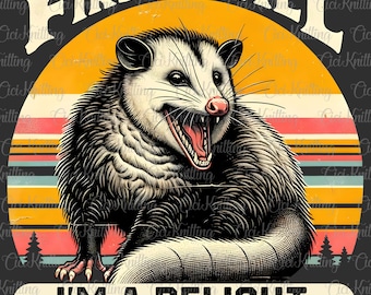 First of All I&#39;m A Delight Sarcastic PNG, Funny Possum Png, Opossum Lover, Angry Possum Png, Funny Animal Png, Digital Download