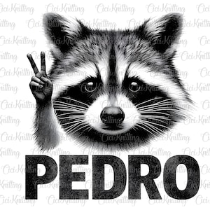 Pedro Pedro Dancing Raccoon Png T Shirt Pedro Racoon Meme, Pedro T Shirt Png, Pedro Spinning Raccoon Png Shirt , Funny Raccoon Meme Shirt