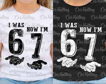 I Was 6 Now I'm 7 Svg Png Bundle, Funny 7th Birthday Svg, Six Seven Meme, Seventh Birthday Svg, Boy Girl Birthday Svg, Retro Distressed