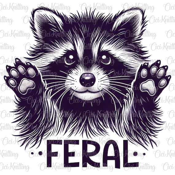 Feral Raccoon Png, Feral Shirt Feral Sweatshirt Raccoon Shirt Png, Digital Download Kids Feral Png, Kids Raccoon Png, Funny Png, Funny Kids