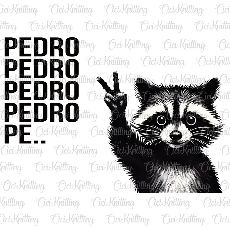 Pedro Rave Racoon Pedro Pedro Dancing Raccoon Png T Shirt Pedro Racoon Meme, Pedro ...