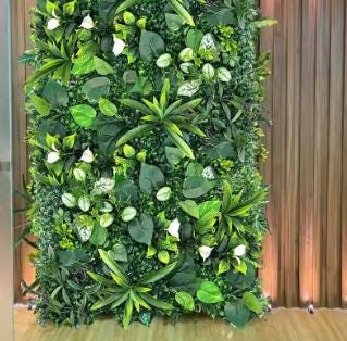 licht monstera Monstera Deliciosa Light Lime – Rare Bright Tropical Plant – Green and  White Plants main image 1