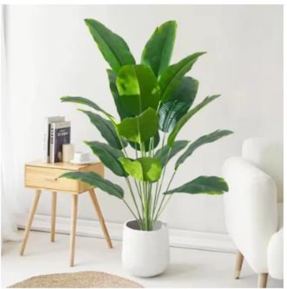 grow lights for plants indoors Indoor Greenhouse with Grow Lights main image 0