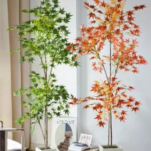 Könnte beinhalten: Zwei künstliche Ahornbäume, einer mit grünen Blättern und der andere mit orangefarbenen und gelben Blättern, werden in weißen quadratischen Pflanzgefäßen präsentiert. Die Bäume stehen in einem hellen Raum, mit einem kleinen Tisch und Kunstwerken im Hintergrund.