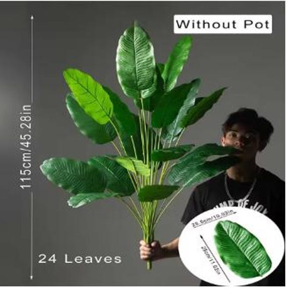 comfrey plant in german Organic Comfrey Seeds Ireland