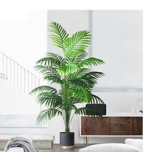 Könnte beinhalten: Ein hoher künstlicher Palmenbaum mit grünen Blättern in einem schwarzen Topf mit goldfarbenem Rand. Der Baum steht in einem Wohnzimmer mit einem Holzschrank und einer Treppe im Hintergrund.