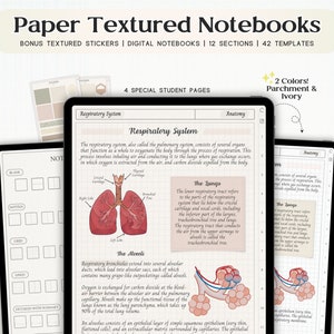 Paper Texture Notebook Digital Hyperlinked Goodnotes Notebook Digital Planner Templates Notability iPad Student Notes Textured Journal Tabs