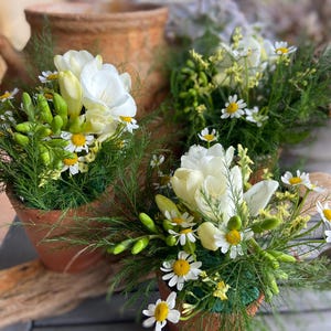 May include: Three terracotta pots with white flowers and green foliage. The pots are arranged on a wooden surface.
