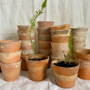 Op de afbeelding: Een verzameling verweerde terracotta bloempotten in verschillende maten en tinten oranje, bruin en grijs. Sommige potten zijn in kolommen gestapeld, terwijl andere kleine groene planten met delicate bladeren en donkere potgrond bevatten.