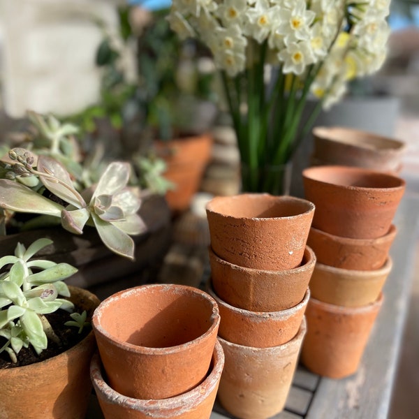 Beaux petits pots antiques de terre de semis, poterie faite main, ferme de campagne française authentique rustique, jardin plantant des pots en terre cuite des années 1900