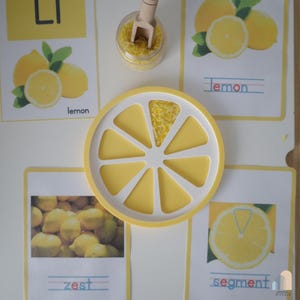 May include: A yellow and white lemon-shaped tray filled with yellow grains, next to educational cards. The cards feature illustrations of lemons, the word "lemon", and the words "zest" and "segment". A small jar with a wooden scoop is also visible.