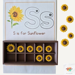 Peut inclure: Ensemble éducatif avec une boîte en bois marron contenant des objets en forme de tournesol. Une carte affiche la lettre "S" avec des guides de traçage et le texte "S is for Sunflower". Des décorations de tournesol supplémentaires sont éparpillées.