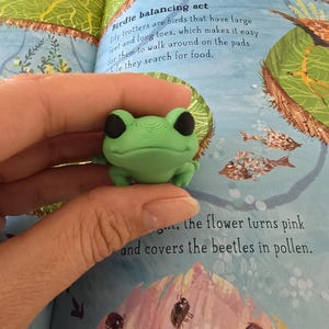 Articulated Frog Fidget Toy | 3D Printed Desk Decor | Flexible Animal Figurine | Cute Stress Relief Gift | Sensory Toy