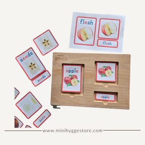 Coupe de pomme Montessori Cartes en 3 parties | Téléchargement numérique |