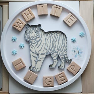 Op de afbeelding: Een witte tray met een witte tijgeruitsparing en houten letterblokken die "WHITE TIGER" spellen. De tijger heeft grijze strepen en is omringd door kleine blauwe sneeuwvlokdecoraties. Er is ook een kleine kaart met de letters "Tt".