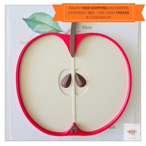 Montessori Apple Cross Section Sensory Tray | Educational Bio-PLA Toy for Fine Motor | STEM Learning