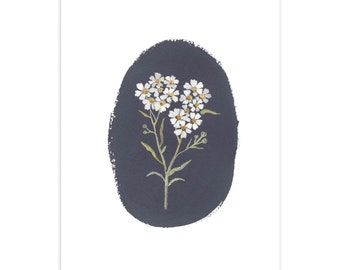 Botanische illustratie van nieskruidbloemen door Gemma Koomen - Fine Art Giclee A5 bloemenprint - Floral Wall Art