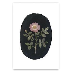 Illustration botanique d'un églantier par Gemma Koomen Impression giclée d'art floral A5 Art mural rose image 1
