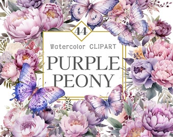 Watercolor Peony Clipart - Watercolor Floral clipart - Purple Peony clipart png - Peony floral borders set - Digital clipart PNG