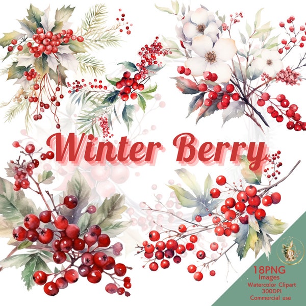 Winter berry, watercolor clipart, Red berry, Christmas card, card design, journaling, stickers, 300DPI, transparent, commercial use