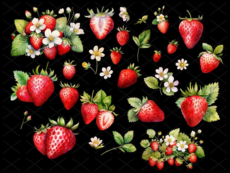 Strawberries and Flowers Watercolor Png Clipart Bundle Instant - Etsy