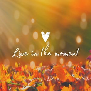May include: A blurry background of autumn leaves with a white heart and the text "Live in the moment" in white. The foreground is a close-up of a pile of colorful autumn leaves.