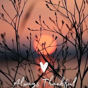 Puede incluir: Silueta de ramas contra un atardecer. El sol es un círculo naranja brillante. Un corazón blanco y las palabras "Always Thankful" están en primer plano. La imagen tiene un ambiente cálido y tranquilo.