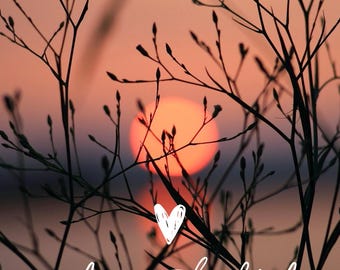 Hello Fall Phone Wallpaper, 5-Pack, Autumn Nature (Digital Download)