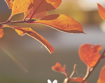 Believe in Yourself Fall Leaves Phone Wallpaper (Digital Download)