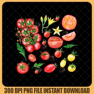 Tomato Botanital Png, Tomato Png, Fruit Png, Botanical Png, Cottagecore Clothing Vegan Png, Garden Shirt Vegetable Shirt, Aesthetic Clothes