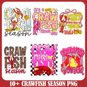 10+ Crawfish Season Png Bundle, It's A Crawfish Kinda Day Png, Crawfish and Beer That's Why I'm Here Png, Funny Boil Party Eat, Coquette Png