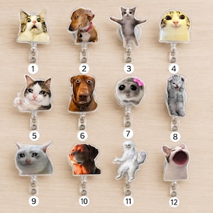 Op de afbeelding: Een collectie van twaalf intrekbare badgehouders met diverse katten- en hondenportretten, waaronder memes en expressieve dierengezichten. Elke houder heeft een behuizing van doorzichtig plastic en een genummerd label van één tot twaalf.
