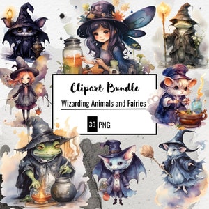 Animaux et fée sorcières, rats sorciers, grenouille sorcières,  aquarelle PNG, illustration, fond transparent, utilisation commerciale.