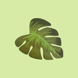 Monsterabladsticker, botanische papieren sticker voor journaling, scrapbooking, plantenliefhebber cadeau, esthetisch briefpapier, groen decor