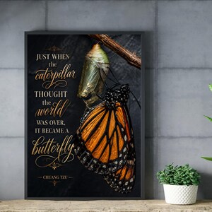 Chrysalis Poster - Etsy