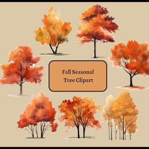 Seasonal Autumn Trees Clipart Collection: Autumn Trees Clip Art, Fall Trees Clipart, Fall Nature Landscape- PNG Clipart for commercial use
