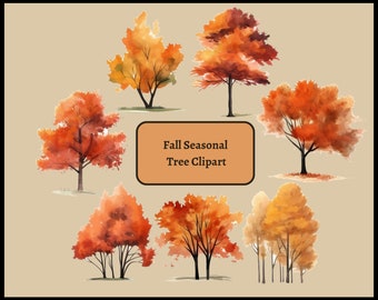 Seizoensgebonden herfst bomen clipart collectie: herfst bomen illustraties, val bomen clipart, val natuur landschap-png clipart voor commercieel gebruik