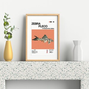 Zebra Pleco Fish Poster for Fish Wall Art Design & Aquarium Decor Digital Print for Fish Lovers Zebra Pleco Fish Print image 6