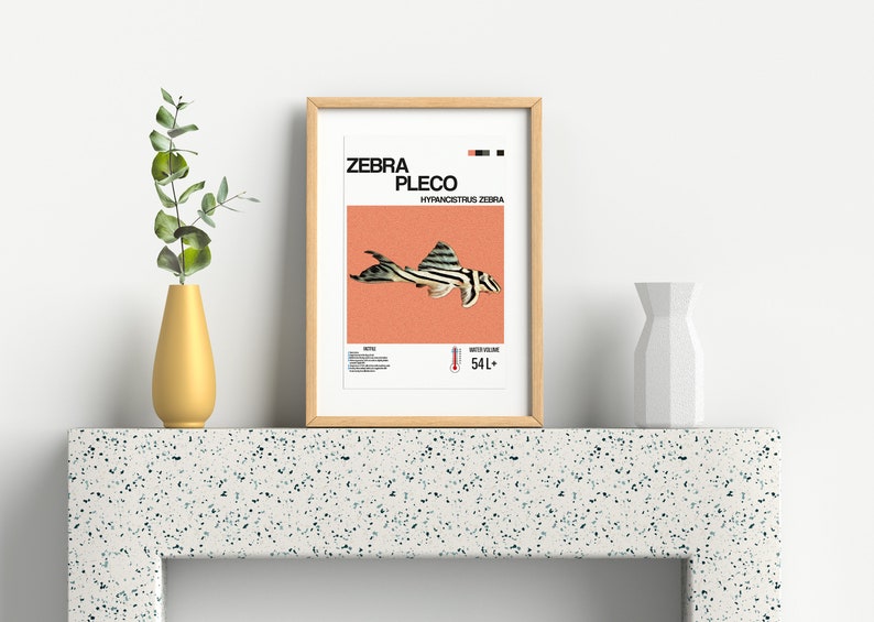 Zebra Pleco Fish Poster for Fish Wall Art Design & Aquarium Decor Digital Print for Fish Lovers Zebra Pleco Fish Print image 6