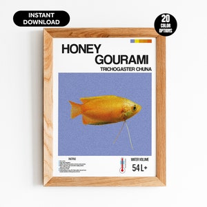 Honey Gourami Fish Poster - Customizable Digital Aquarium Wall Art - Unique Print for Aquarium Lover - Fish Enthusiasts - Home Decor