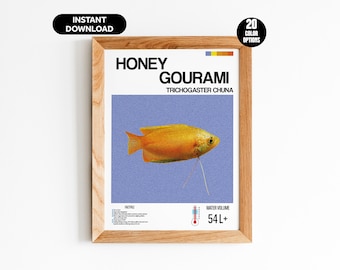 May include: A framed print featuring a Honey Gourami fish illustration. The artwork includes the fish's scientific name, Trichogaster Chuna, and details about the fish. The print is in a wooden frame and includes the text "Instant Download" and "20 Colour Options".