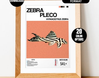 Zebra Pleco Fish Poster for Fish Wall Art Design & Aquarium Decor - Digital Print for Fish Lovers - Zebra Pleco Fish Print